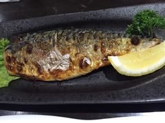 -禅猫日本料理