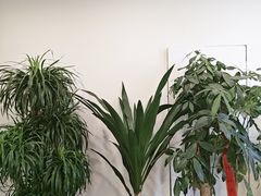 -艾柏堂8090经络·艾灸养生(御庭府邸店)
