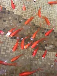 点击看大图 -爱月时月子会所·贝萌店