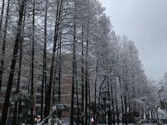 -星美国际影商城(黄龙店)
