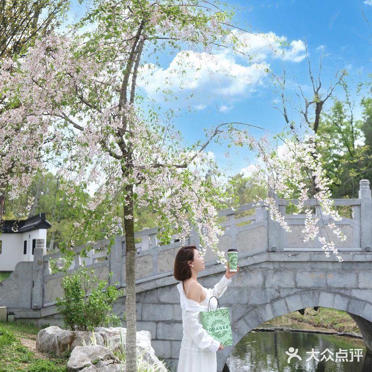 和霸王茶姬小绿杯一起体验公园20分钟效应！！