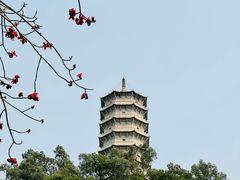 -深圳国际园林花卉博览园