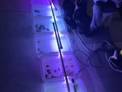 -华声天桥民俗文化园