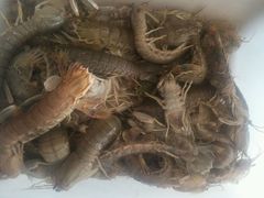 android_upload_pic-泰来酒店