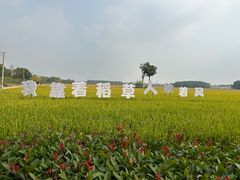 -嘉北郊野公园