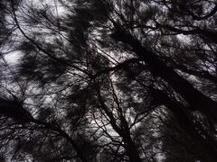 -平潭岛•仙人井