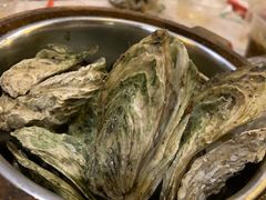 -狮龙啤酒烧烤屋(建二路店)