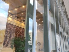 -北京大学百年讲堂