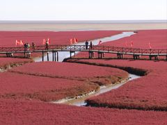 -红海滩国家风景廊道