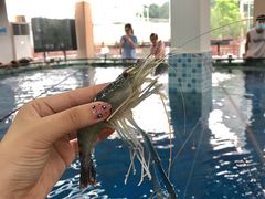 -SHRIMP CLUB万东餐饮钓虾·清吧