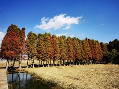 -捞渔河湿地公园