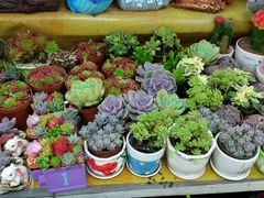 -无锡文化工艺品市场(槐古路店)