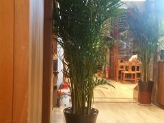 -亮亮面馆(经六路店)