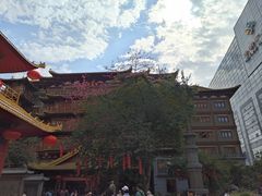 -越秀西湖花市(广州城市广场花卉店)
