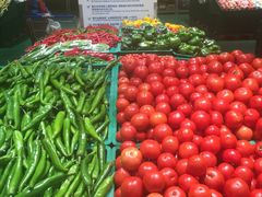 蔬菜-麦德龙(湖里店)