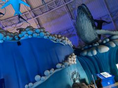 -烟台海昌鲸鲨海洋公园