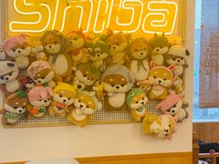 -豆柴町-柴犬主题狗咖(红鼎国际C座店)