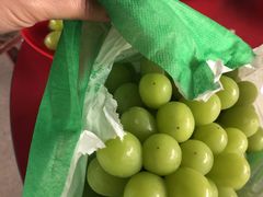 -马陆小张葡萄园农家乐