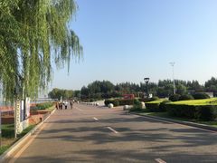 -丁香湖公园