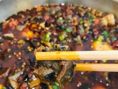 黑竹香鸡锅中黑鸡肉-黑竹香鸡(营和巷店)