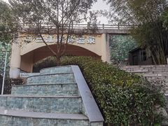 -三江森林温泉度假区