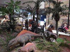 -湖南省地质博物馆