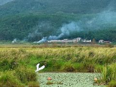 -腾冲北海湿地
