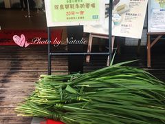 -瑞穗牧场