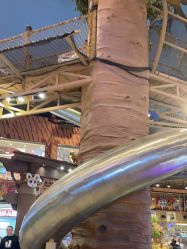 -卡通尼·Safari非洲探索乐园·生日会(金桥国际商业广场店)