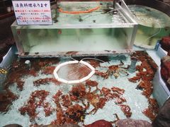 -札幌かに本家(福岡那の川店)