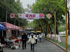 -哈尔滨道外花鸟鱼市场