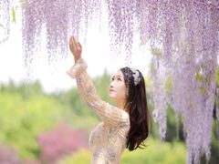 -嘉定紫藤园