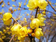 -白塘生态植物园