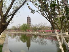 -西海子公园