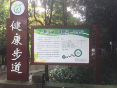 -凤栖山