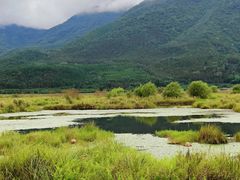 -腾冲北海湿地
