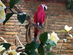 -湘邻呷铺·田园家宴(汉基广场店)