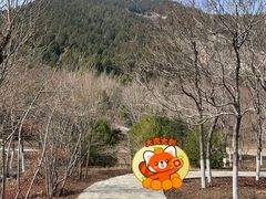 -佛慧山