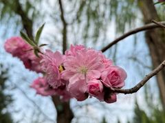 -朝阳公园