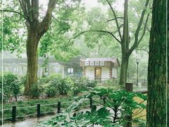 -上海共青森林公园