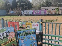 -趣玩宠物乐园寄养训犬训狗游泳池