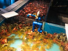 -星伦多 自助料理(圆融店)