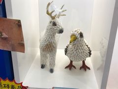 -贝壳梦幻世界