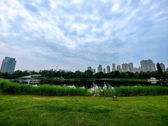 -群力丁香公园