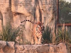 -祥源·阜阳生态乐园