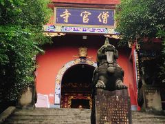 -铁山坪森林公园