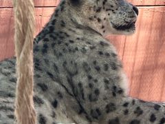 -青藏高原野生动物园