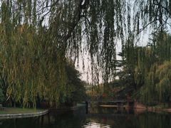 -上海共青森林公园