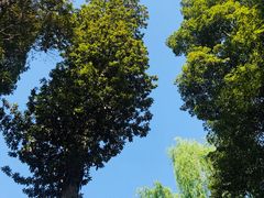 -白鹭湾湿地公园