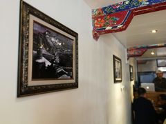 -古树酸奶(八廓南街店)